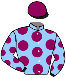 Casaque de YPSILONE