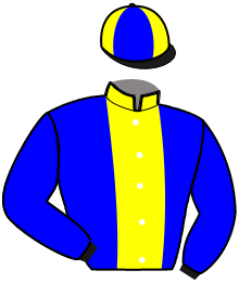 Casaque de NUMBER VIKING