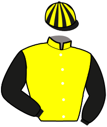 Casaque de MILLESIME DE BLARY