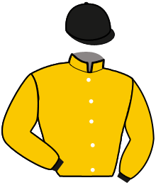 Casaque de NATO JOSSELYN