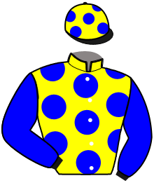 Casaque de JAVA DE LANGERON