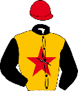 Casaque de PLURALISTA CAUSE
