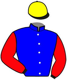 Casaque de KING D'AZUR