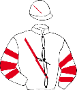 Casaque de LA TIMBERA