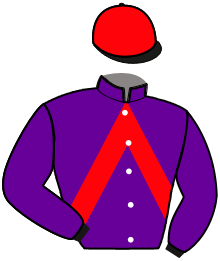 Casaque de KIMI DU DOME