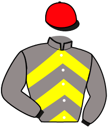 Casaque de MARQUIS FORTIS