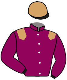 Casaque de DANICA
