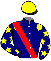 Casaque de DRUIDE