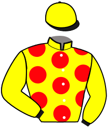 Casaque de JUSTICE PROUVEE