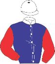 Casaque de POLO MARINO