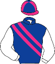 Casaque de DON LOGRADO