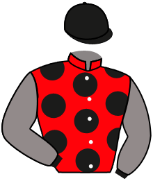 Casaque de ACARY