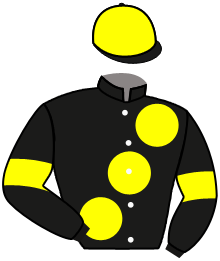 Casaque de BIG MONEY MAN