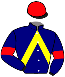 Casaque de NESTORIUS