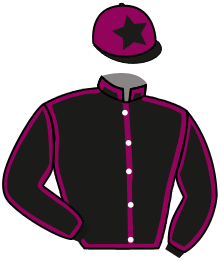 Casaque de GREAT PROMISE