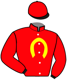 Casaque de NEWMARKET