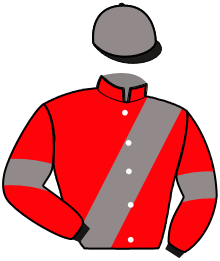 Casaque de KENDO JIEL