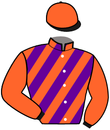Casaque de LADY D'URSIN