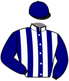 Casaque de NASHVILLE MENCOURT