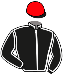 Casaque de BARON DE FLANDRES