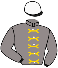 Casaque de AL SAMSAMAH