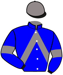 Casaque de NUMERO DE LAUMONT