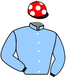 Casaque de FAIN WOULD