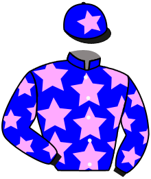 Casaque de DENGIE