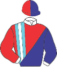 Casaque de WINNER ZENSATIONAL