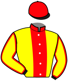 Casaque de NECFEU