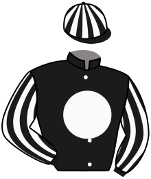 Casaque de SURVIE