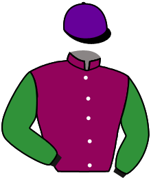 Casaque de ROYAL SAGA