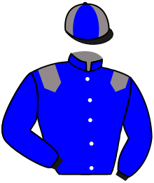 Casaque de SAPHIR DU RAYNAL