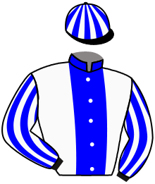 Casaque de JEU DE ROLE