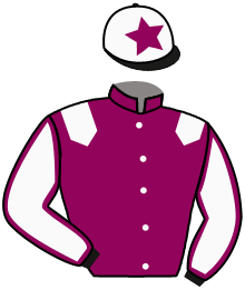 Casaque de DIAMANTE