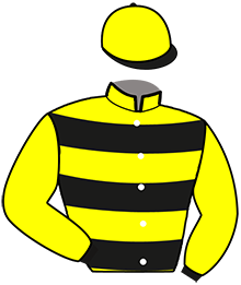 Casaque de MERLIN DE PIROY