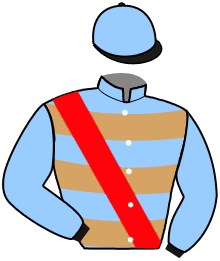 Casaque de NINJA BLEU