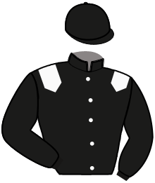 Casaque de MASTER WINNER