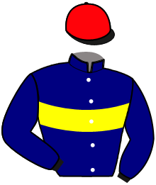 Casaque de ILLINOIS