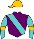 Casaque de EL VIEJO LAUCHA