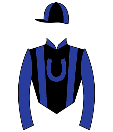 Casaque de LIBERTADOR