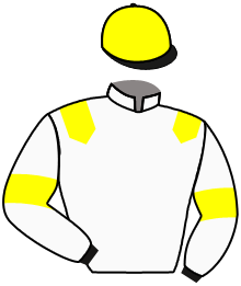 Casaque de CAPTAIN FLAG