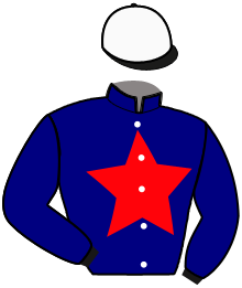 Casaque de OPERA WOOD