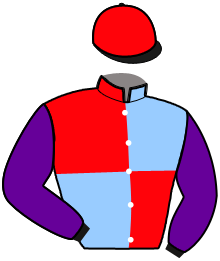 Casaque de NICKEL CHROME