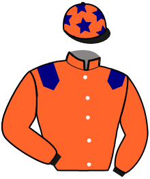 Casaque de NONSTOP MAGNIFIQUE