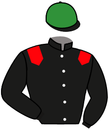 Casaque de PAJERO