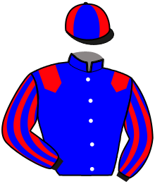 Casaque de MYSTIC PARKER