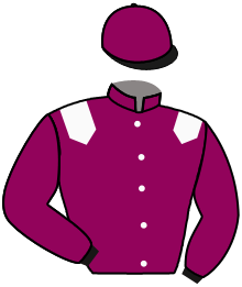 Casaque de WILLOWER