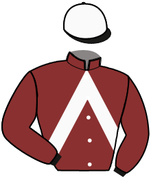 Casaque de LIEUTENANT COLUMBO