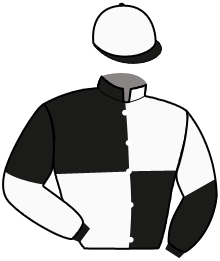 Casaque de JUVAMINE RENARDIER